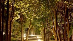 Garden - Tanaosri Resort (Pranburi)