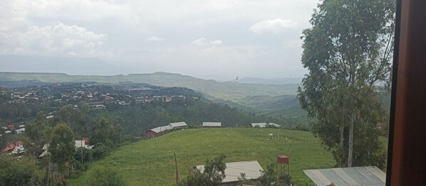 Bàn, truy cập Internet không dây miễn phí 