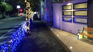 A sidewalk with a bench, a building with large windows, and decorative lights along the street. - SoraTerrace (Nishitokyo)