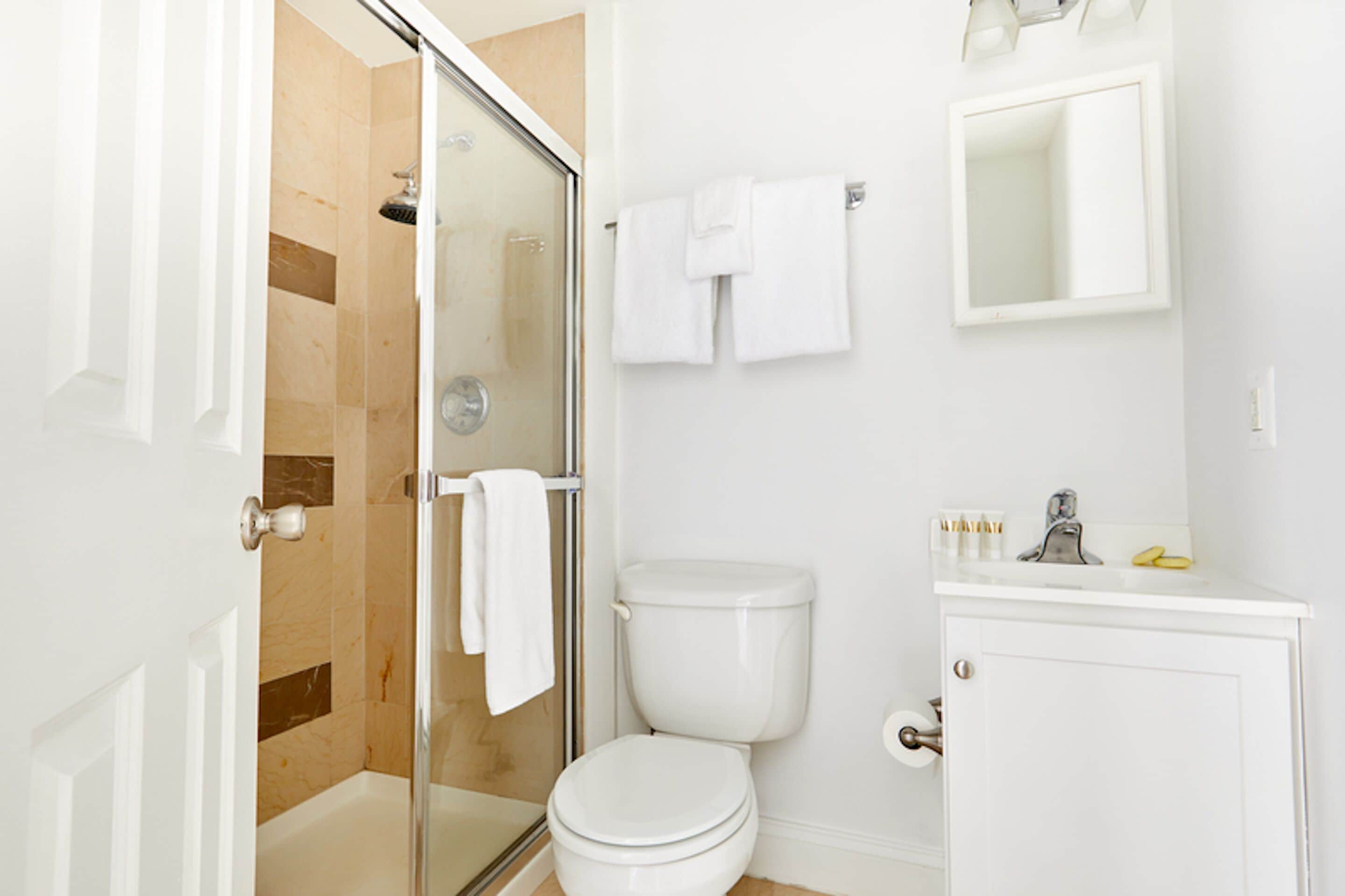 Shower, designer toiletries, hair dryer, towels