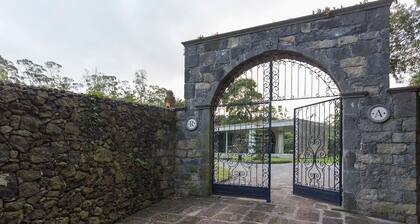Villa with modern minimalist architecture in the middle of a nature reserve