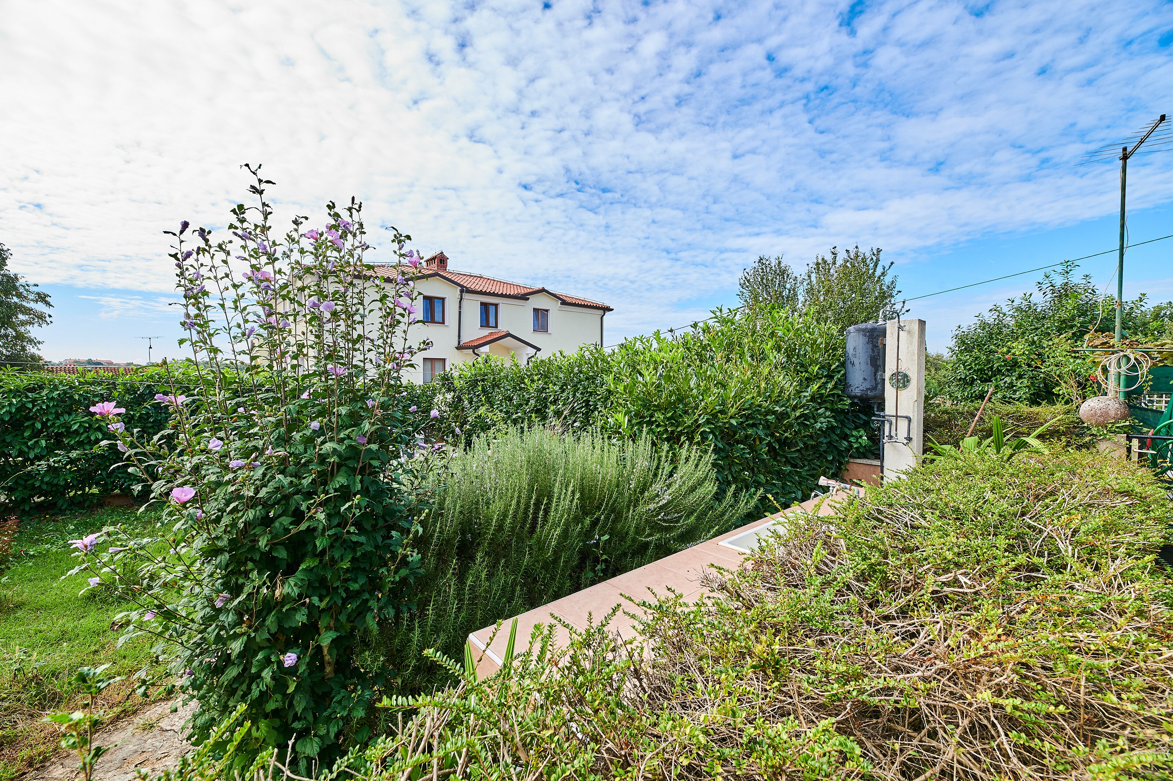 Un jardin avec un chemin, un bâtiment doté d’un toit rouge et un poteau électrique.