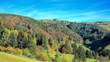 A mountainous landscape with dense forests and rolling hills.