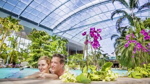 Une piscine intérieure dotée d’un toit en verre, entourée de plantes tropicales et d’orchidées.