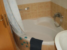 Combined shower/tub, deep soaking tub, rainfall showerhead, hair dryer