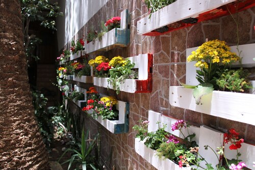 The Garden Bed and Breakfast