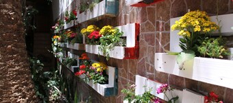 The Garden Bed and Breakfast