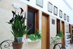 Una planta en maceta con follaje oscuro en un jarrón de vidrio transparente sobre un piso de baldosas.