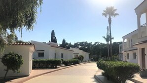 Ein gepflasterter Weg führt zu einem weißen Gebäude mit zahlreichen Fenstern und einem Ziegeldach.
