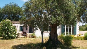 A house with a large tree in the front yard, a small table, and a building with green shutters in the background. - Romantic farm house with great garden (Peral)