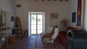 Smart TV, chimenea, reproductor de DVD y libros