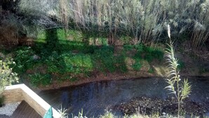 Un paysage naturel comprenant un plan d’eau, une végétation luxuriante et une structure en bois.