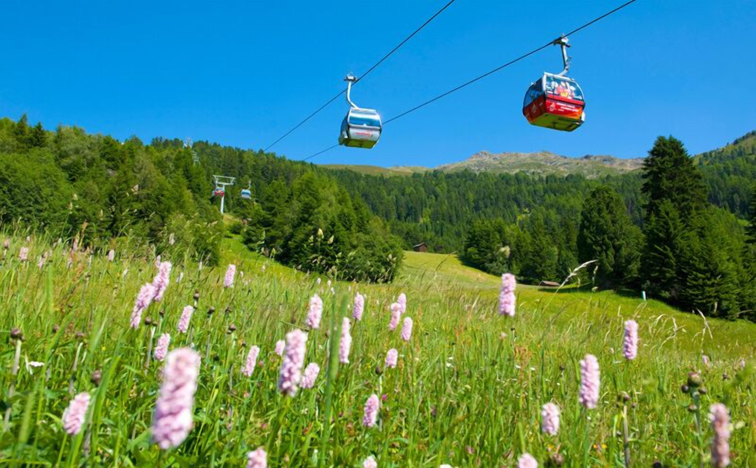A cable car system in a mountainous area with green fields and purple flowers.