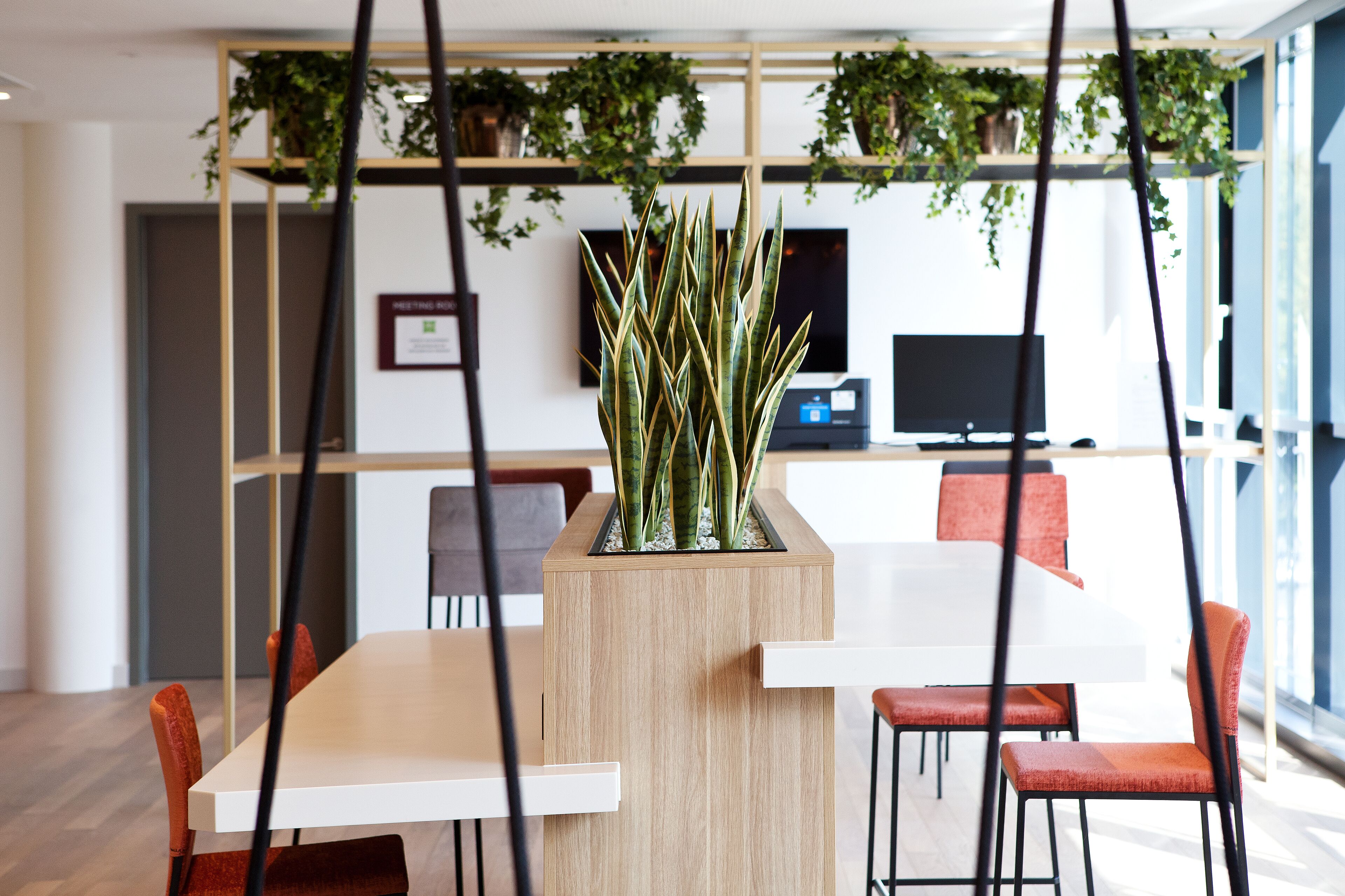 A modern office space with a central wooden table, red chairs, and a potted plant.