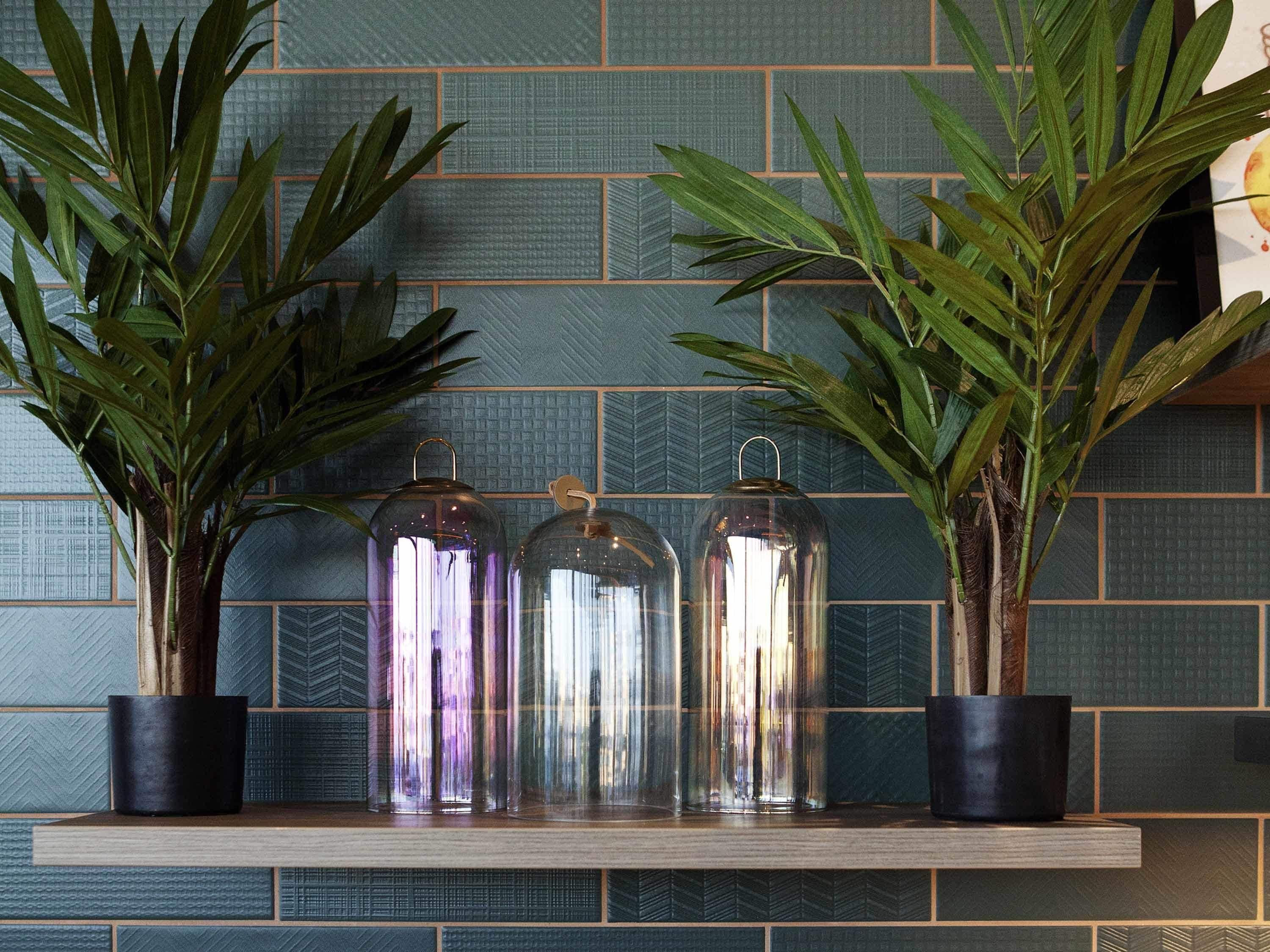 Una estantería con tres frascos de vidrio y dos plantas en macetas, frente a una pared de azulejos.