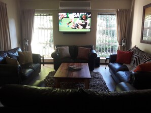 TV, fireplace, books