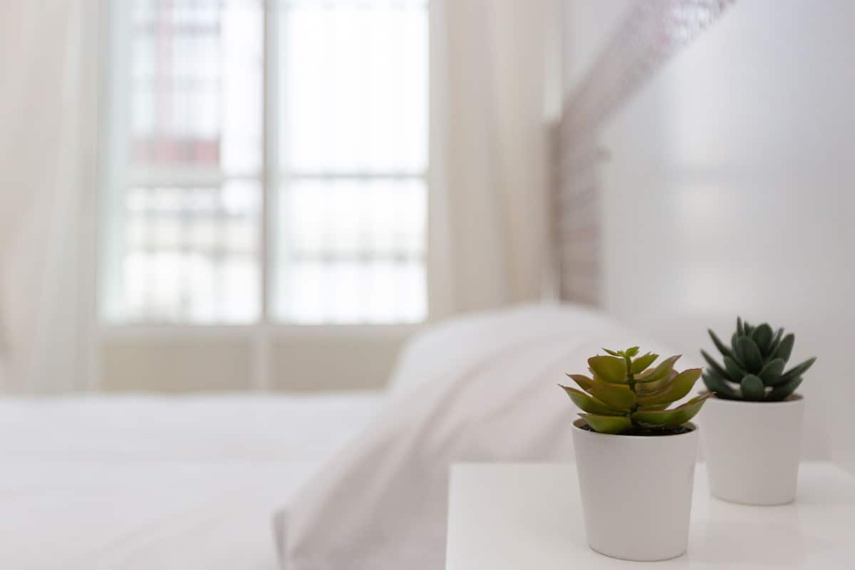 Desk, laptop workspace, free WiFi, bed sheets