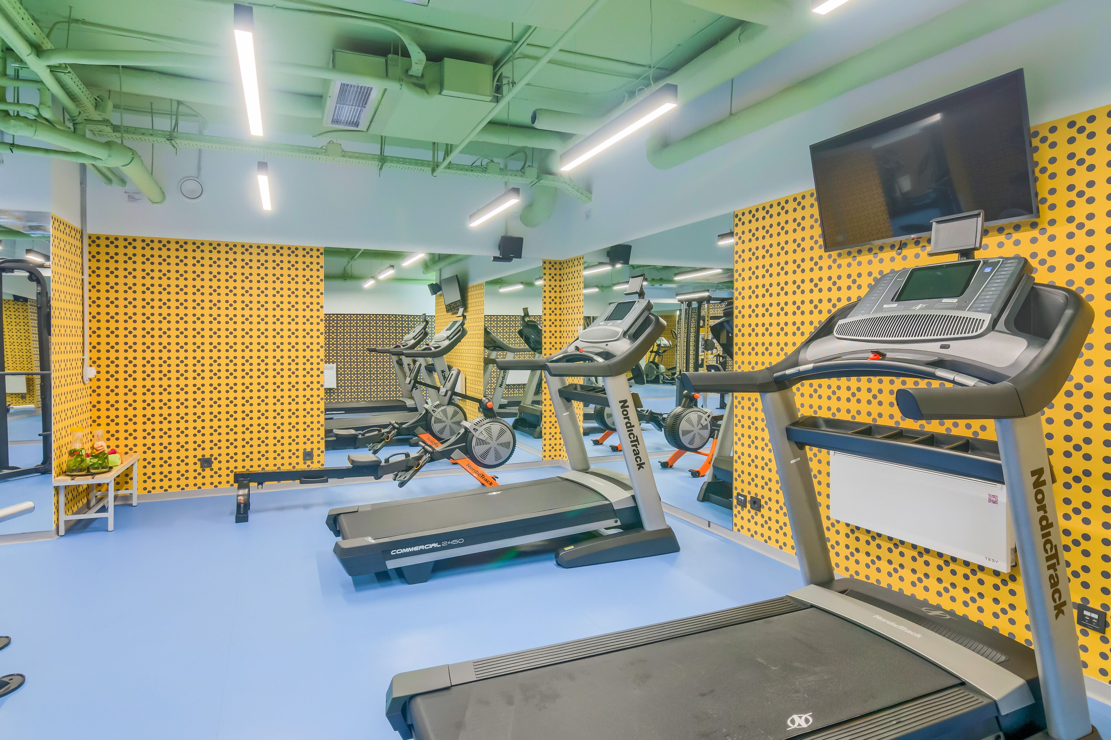 A gym with treadmills, stationary bikes, and a mirrored wall.