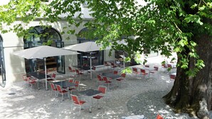 Een terras met tafels en stoelen, omringd door een geplaveid patio en een grote boom die schaduw biedt.