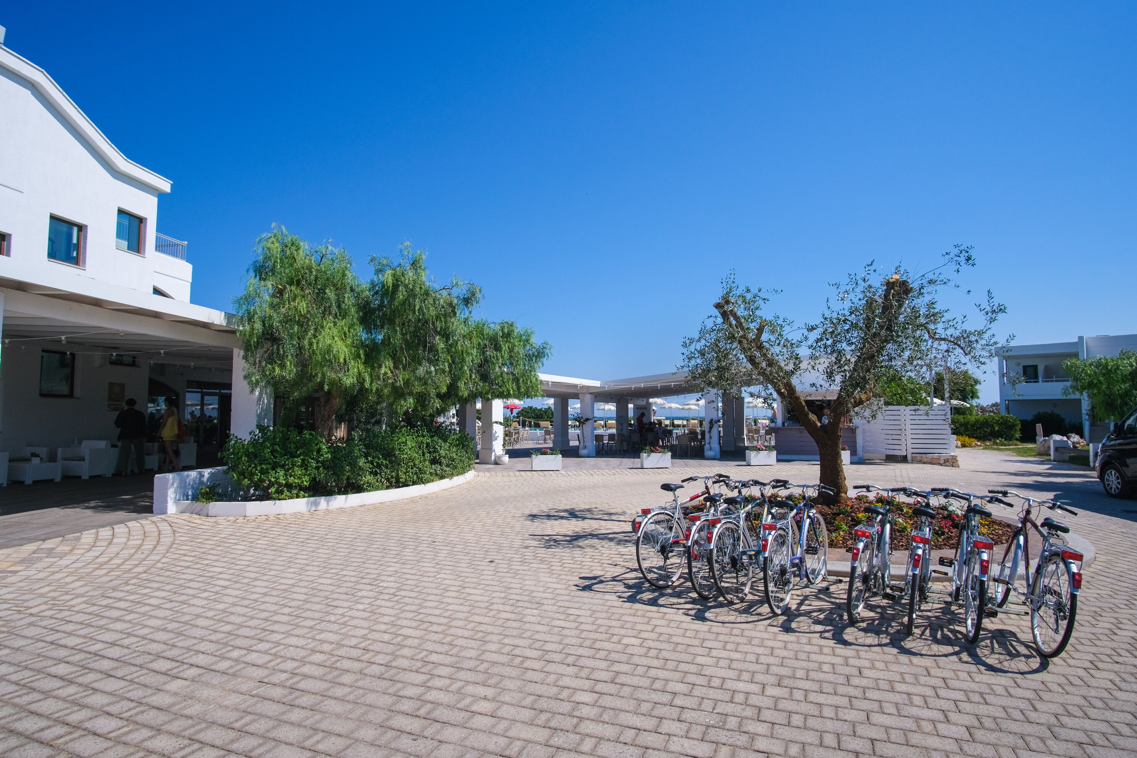 A paved courtyard with a bike rack, trees, and a covered seating area.