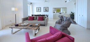 TV, DVD player - Villa Moonrise (Lowlands)