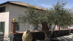 A building with a tiled roof, a large tree, and a checkered floor. - Borgo San Biagio (Calatabiano)
