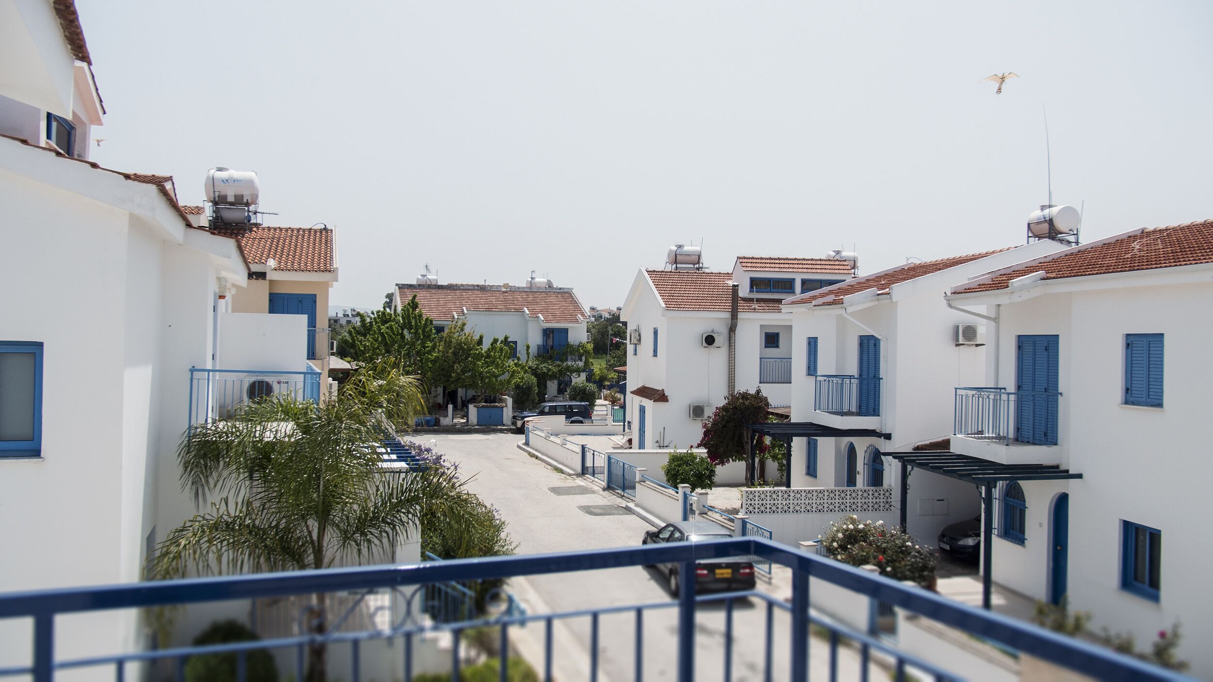 Una calle residencial con edificios blancos, contraventanas azules y tejados de tejas.
