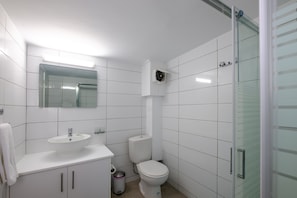 Ein modernes Badezimmer mit Waschbecken, Spiegel, Toilette und Duschkabine aus Glas.