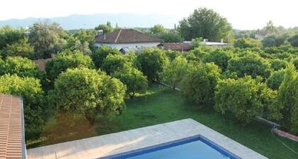 KOY001 by Villaofsummer