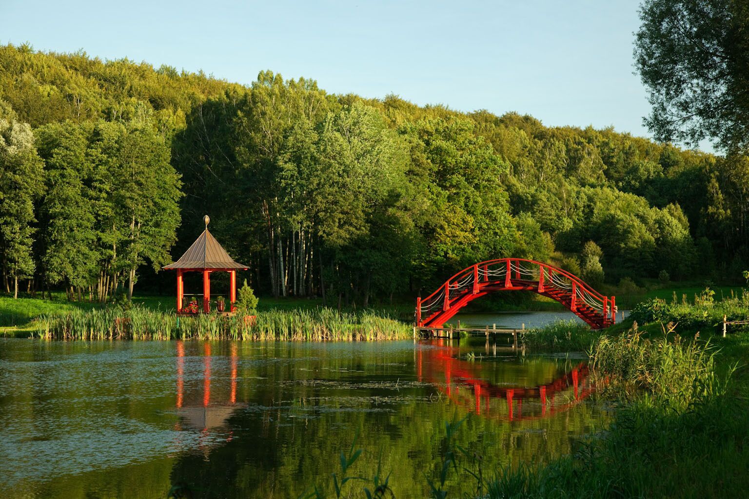 Un paisaje sereno con un puente rojo sobre un estanque tranquilo, rodeado de exuberante vegetación y un pequeño pabellón.