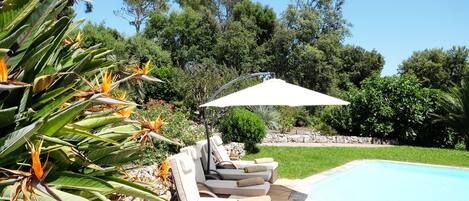 حمّام سباحة خارجي