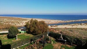 Eine Küstenlandschaft mit Strand, felsigem Ufer und einem Gartenbereich mit Bäumen und Topfpflanzen.