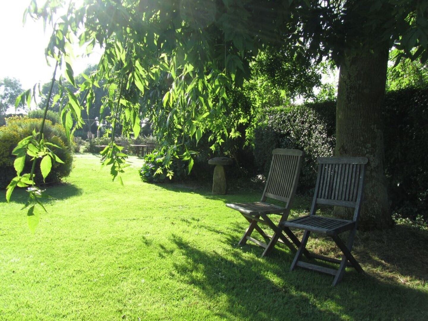 A garden with a lawn, a wooden bench, and a stone structure.