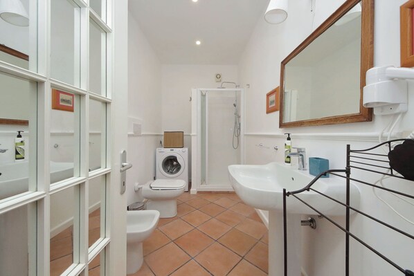 Shower, hair dryer, bidet, towels