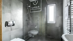 Douche, séchoir à cheveux, serviettes fournies