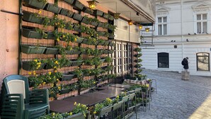 Un café al aire libre con pared de ladrillo, macetas verdes con flores amarillas y suelo de adoquines.