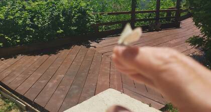 Angel's View is the quintessential getaway, you will love being truly inspired