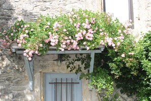 Um edifício de pedra com uma pérgula de madeira coberta de flores cor-de-rosa.