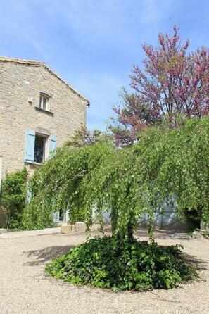 Garden - Chambres d'Hotes La Rose (Saint-Gervasy)