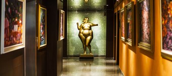 Hotel Anel