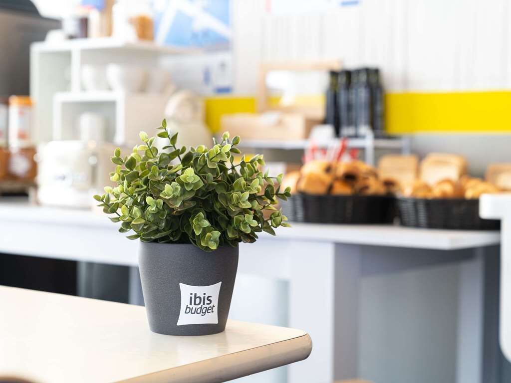 A potted plant labeled "ibis budget" on a counter with pastries in the background.