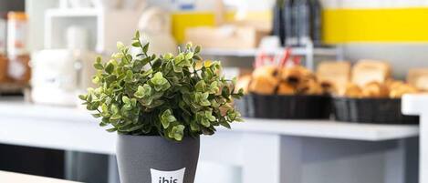 Una planta en maceta con la etiqueta “ibis budget” sobre una encimera, con pasteles al fondo.