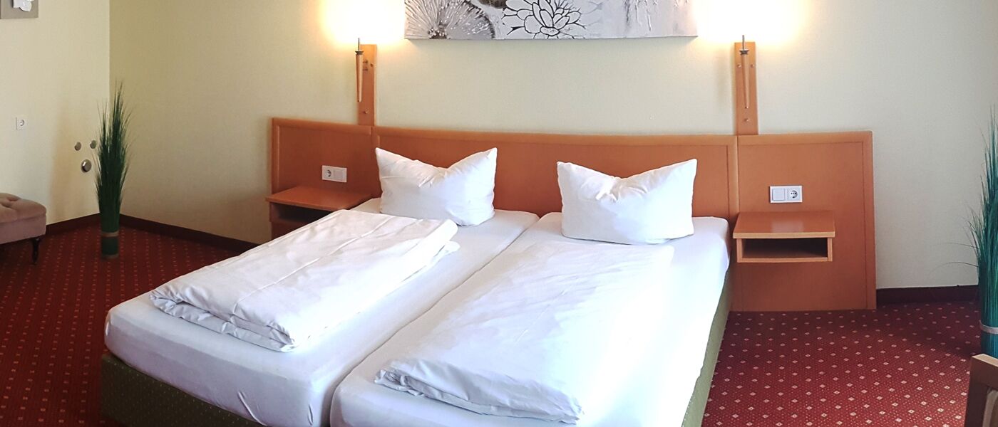 Double or Twin Room | Rollaway beds, free WiFi, bed sheets