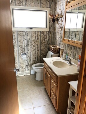 Shower, hair dryer, towels - Chalet on Private Alderbrook Lake (Bolton)