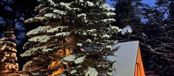 Chalet on Private Alderbrook Lake