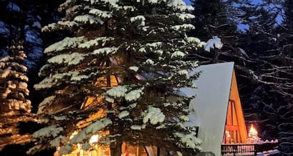 Chalet on Private Alderbrook Lake