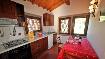 Appartement Tradition, 1 chambre | Cuisine privée