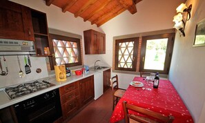 Appartement Tradition, 1 chambre | Cuisine privée