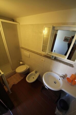Shower, bidet, towels - Agriturismo Tiberio (Terranuova Bracciolini)