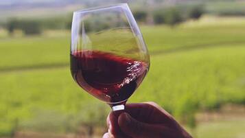 Una mano che tiene un bicchiere di vino rosso, su sfondo sfocato di un campo verde.